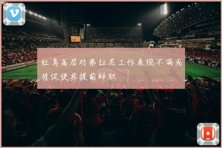 红鸟高层对弗拉尼工作表现不满或将促使其提前辞职